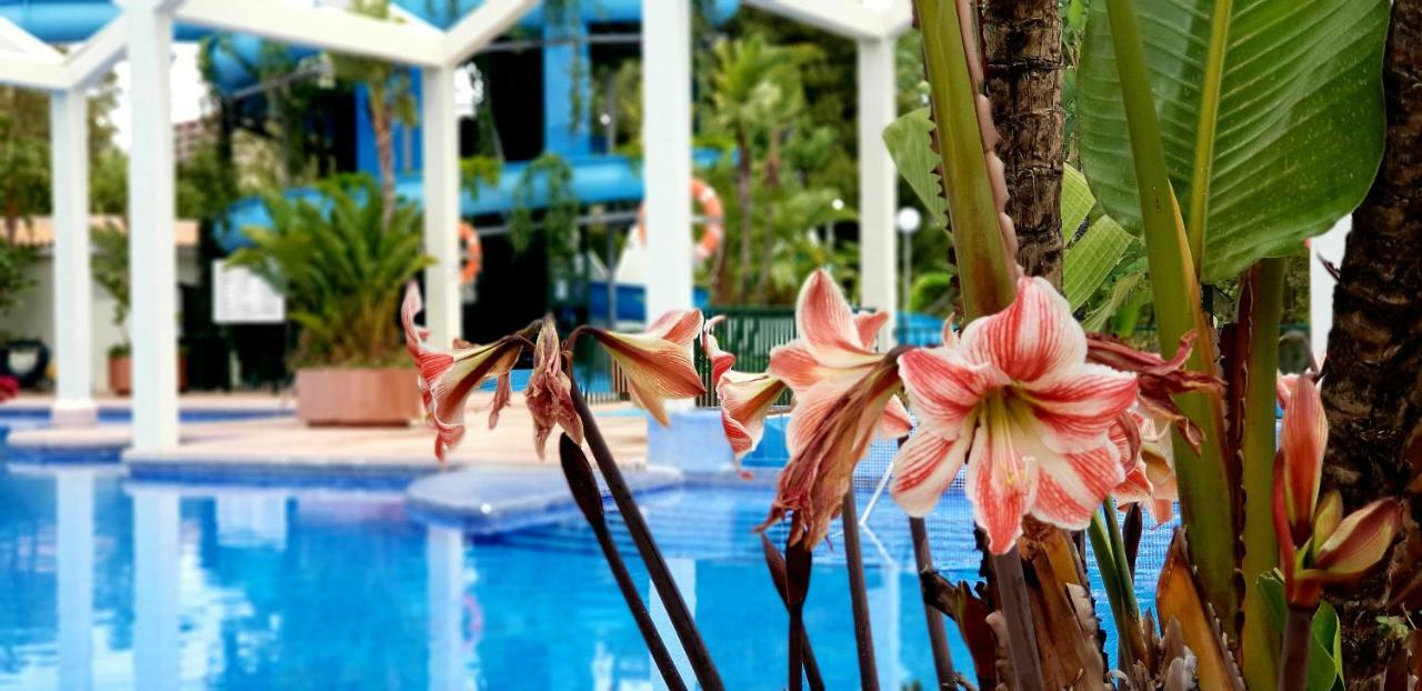 El Estudio De La Playa Benalbeach Holidays Deluxe Benalmádena Eksteriør billede